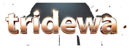 tridewa logo
